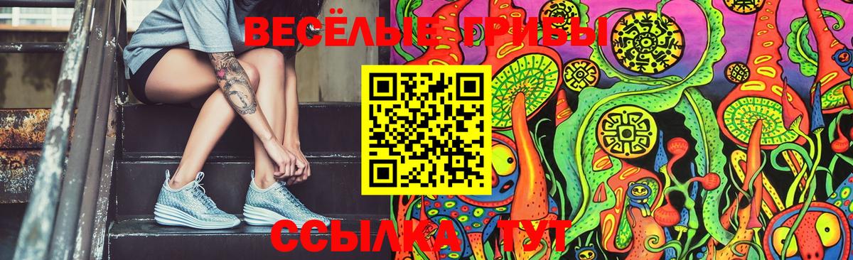 Тихвин  закладка  Галлюциногенные грибы MAGIC MUSHROOMS  Вход с VPN  Псилоцибиновые грибы мицелий 