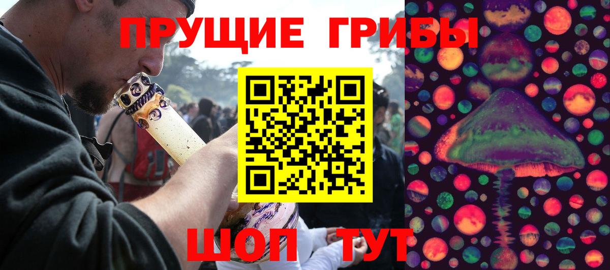 Псилоцибиновые грибы мицелий Тихвин